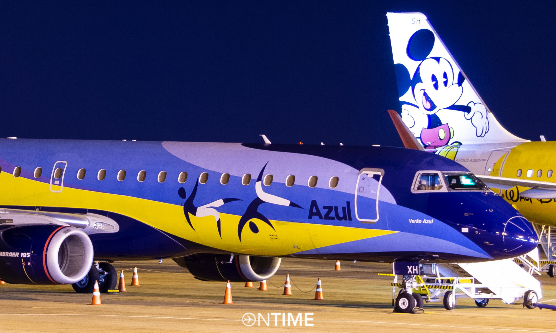 Avião da Margarida: Azul lança quarta aeronave com temática da